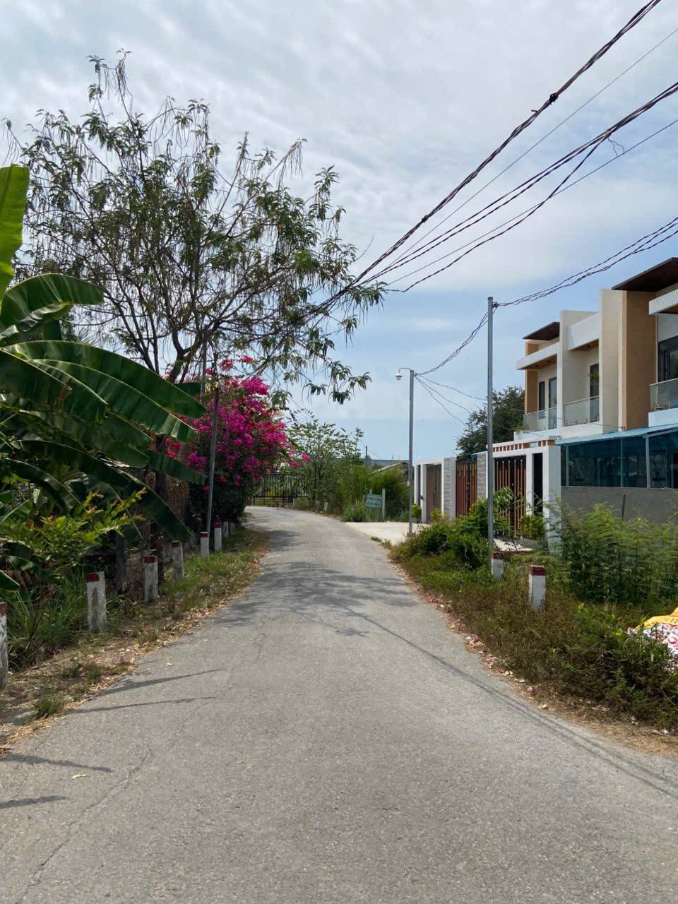 Bán đất vườn tại ấp Tân Điền xã Long Thượng huyện Cần Giuộc, giáp với TPHCM - Ảnh 1
